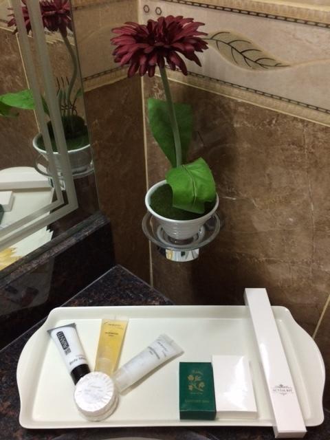 Doha Dynasty Hotel Værelse billede